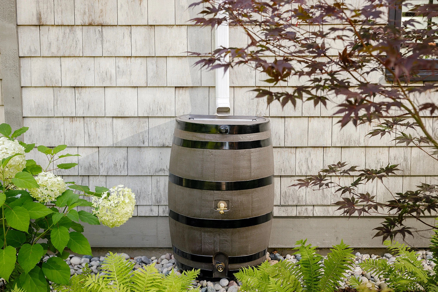 Rainwater Collection
