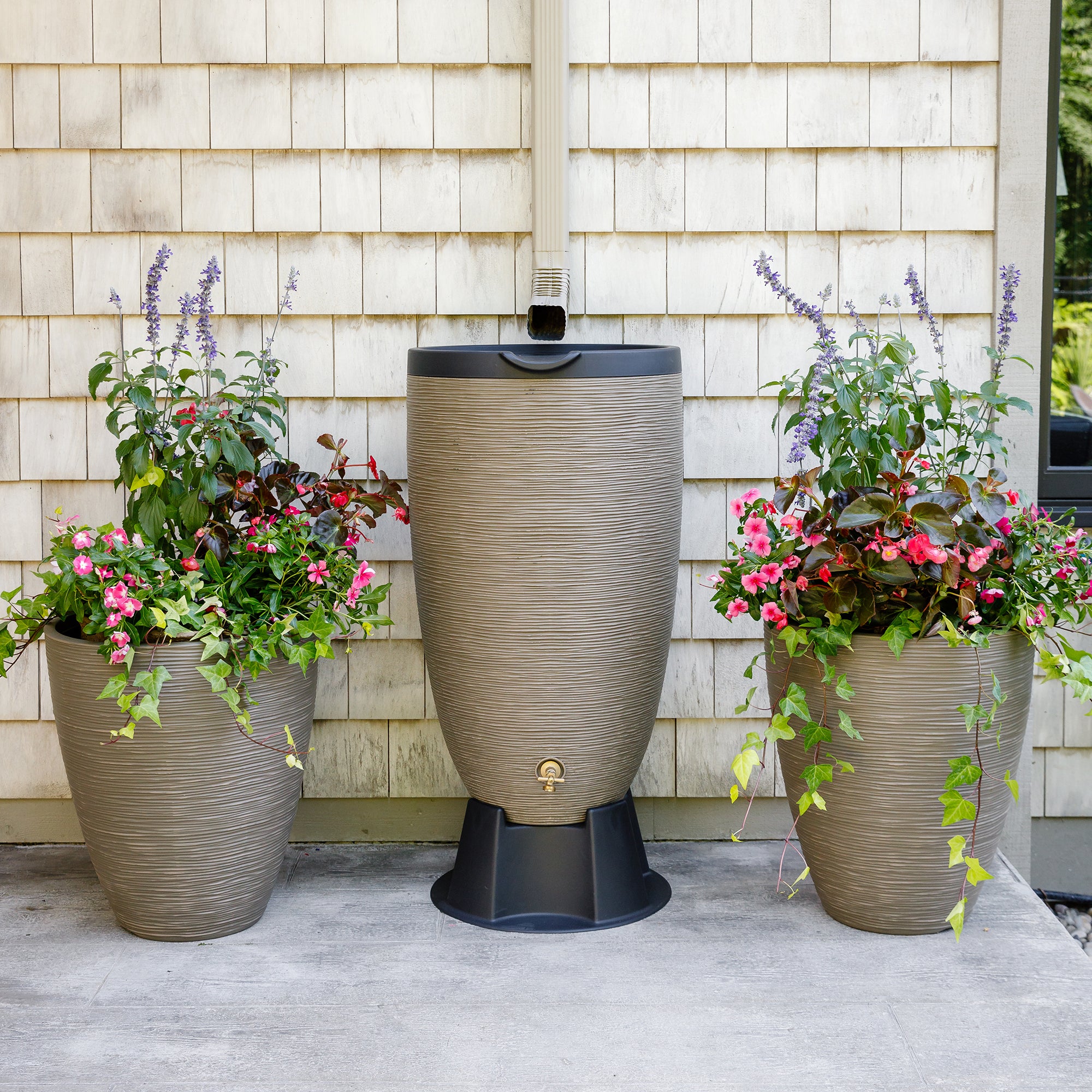 50 Gallon Newport Rain Barrel with Removable Lid and Stand