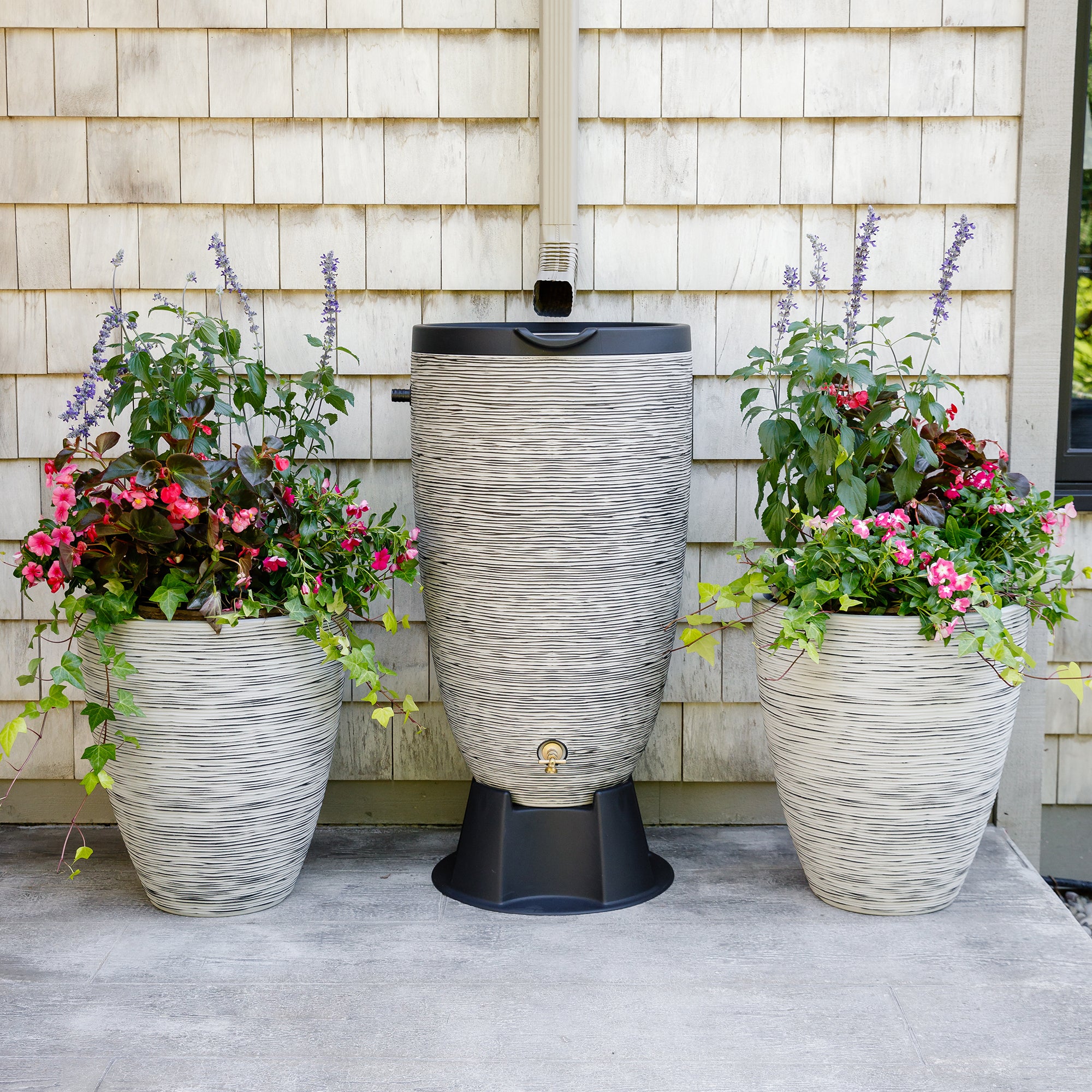 50 Gallon Newport Rain Barrel with Removable Lid and Stand