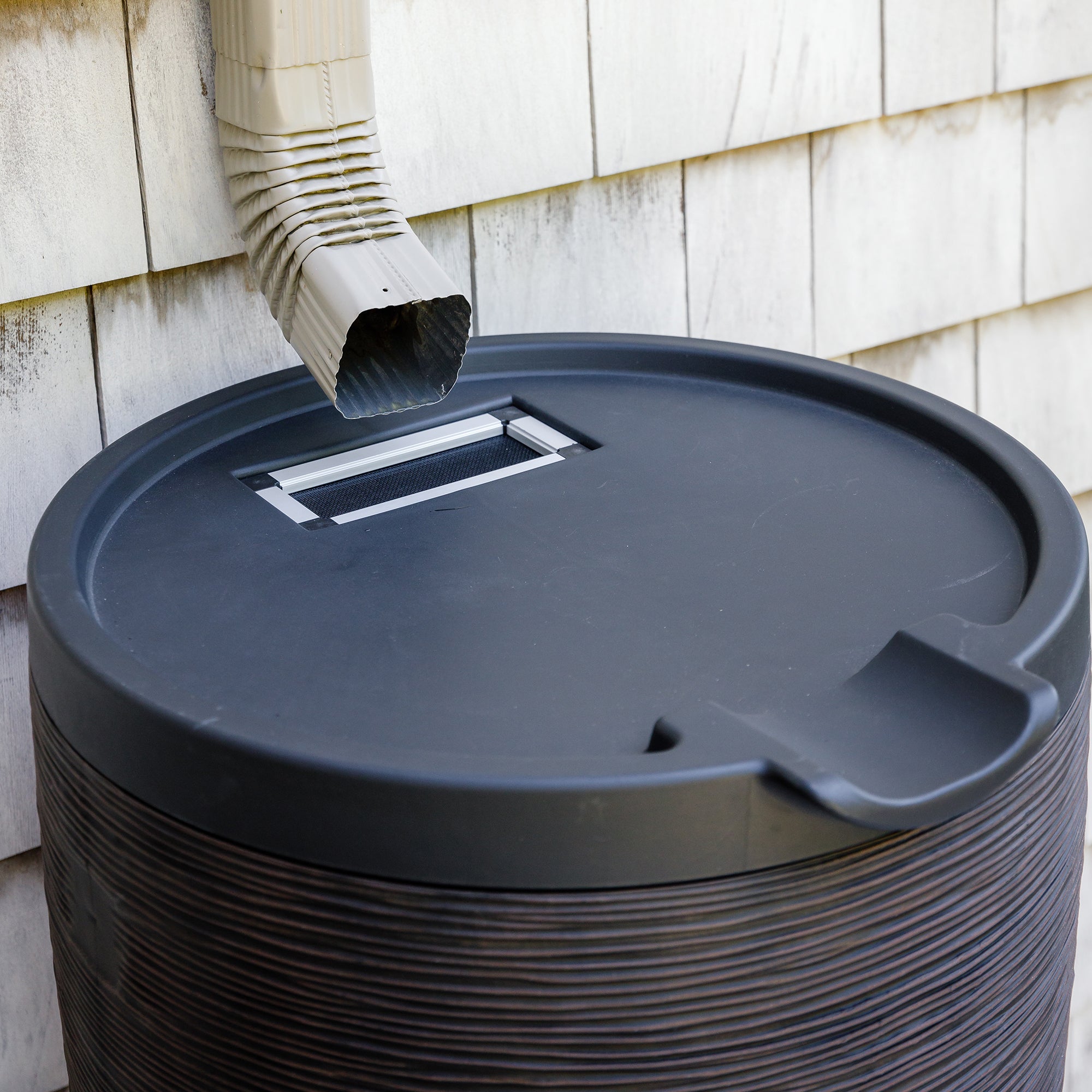 50 Gallon Newport Rain Barrel with Removable Lid and Stand