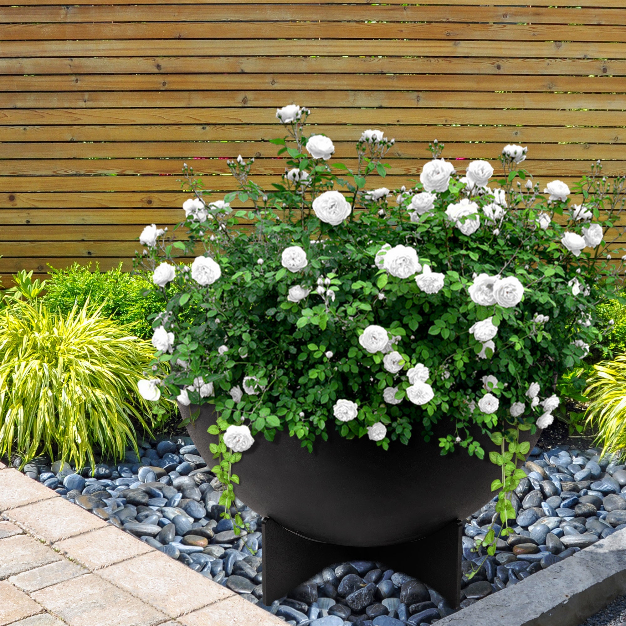 Solerno Planter