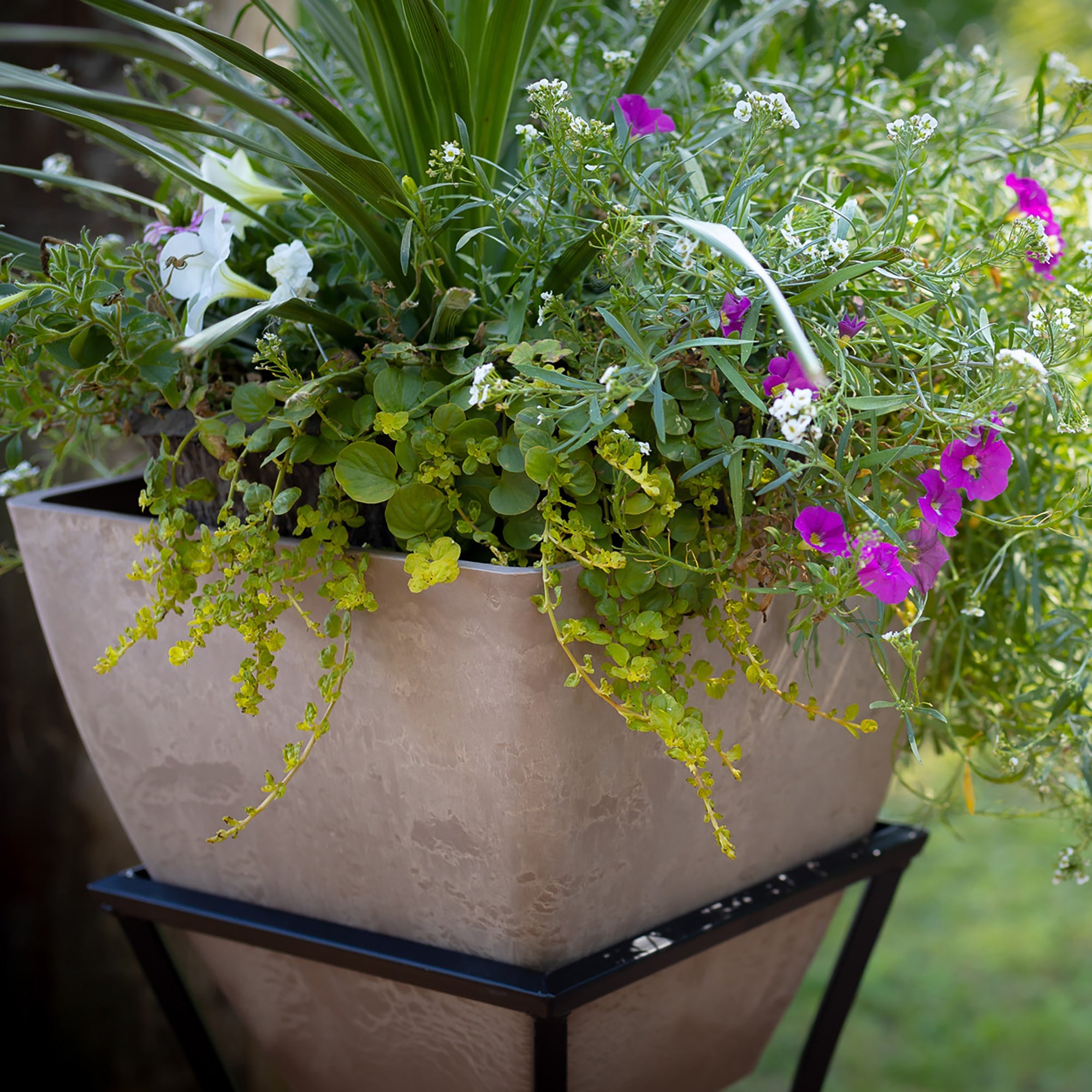 Square Planter With Optional Stand